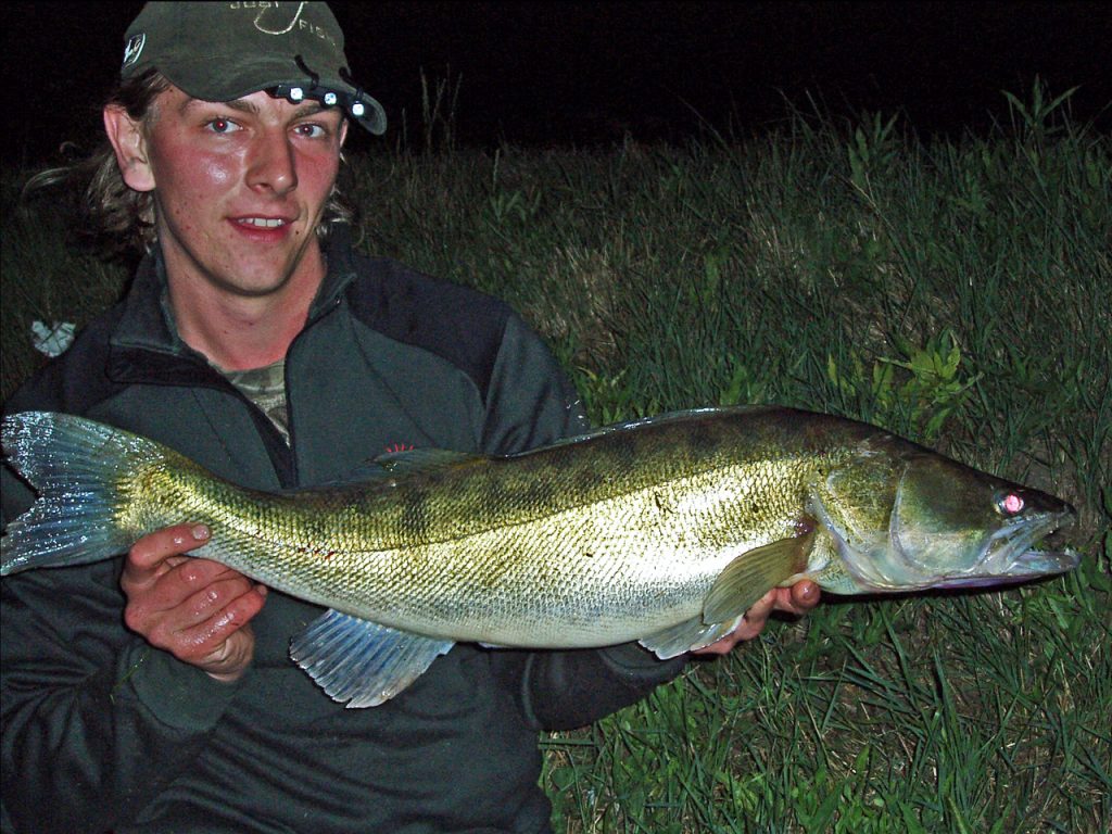 My personal best zander of 10lb 13oz