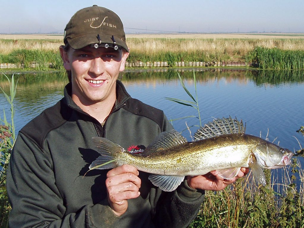 Andrew's small zander caught in daylight