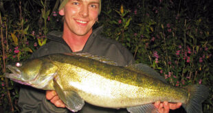 Locating specimen zander fish on rivers, drains & canals