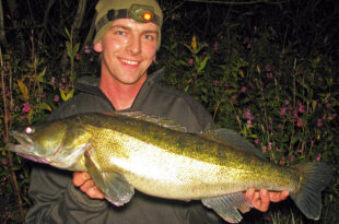 Locating specimen zander fish on rivers, drains & canals