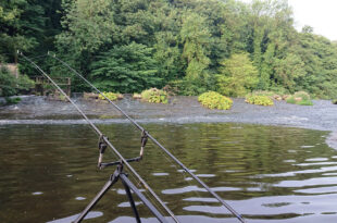 River fishing - rods out on a summer river