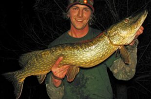 Pike zander & eel fishing river Trent