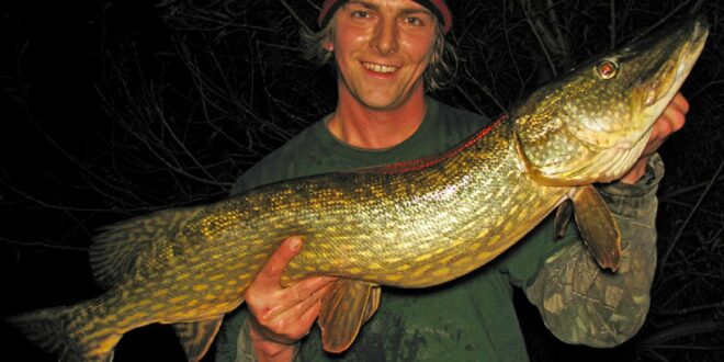 Pike zander & eel fishing river Trent
