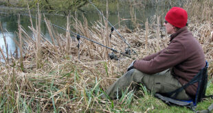 The Royalty fishery pike fishing Hampshire Avon
