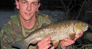 Lure caught river chub
