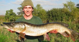 Double figure pike caught from feature fish on rivers, drains & canals