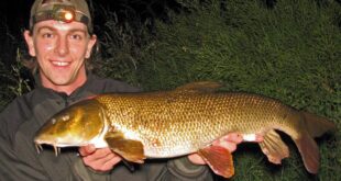 Barbel fishing on the River Dove - Double figure barbel 10lb+