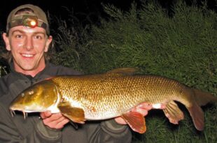 Barbel fishing on the River Dove - Double figure barbel 10lb+