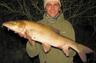 Summer barbel fishing, river Derwent