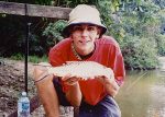 Hampala barb, or sebarau (also called jungle perch), caught from Taman Negara in Malaysia