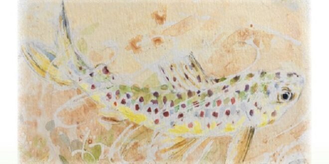 The Boy and the Trout - CHildren's Story Book - Front Cover