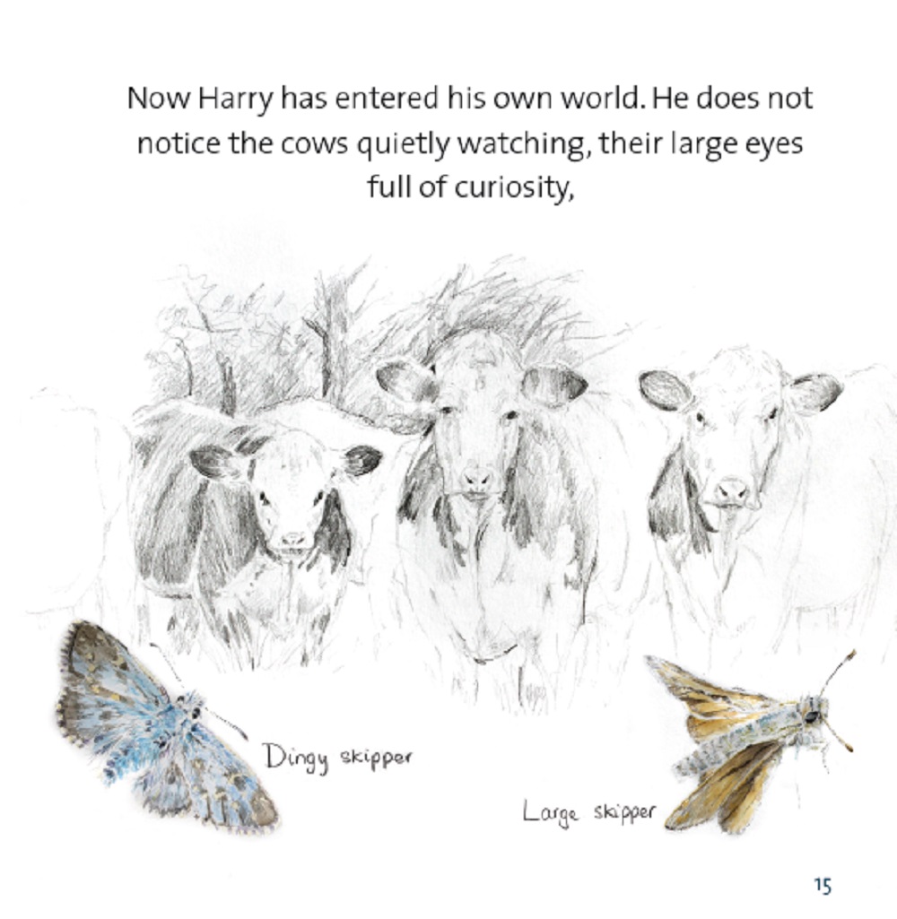 The Boy and the Trout - sketches & watercolour insect studies