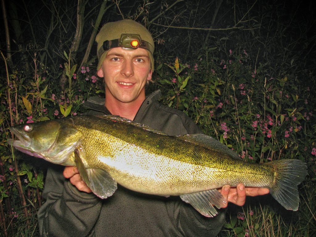 Large zander caught near features, thanks to some knowledge on how to locate predators