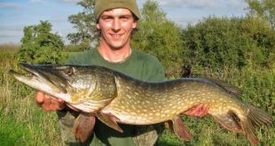 Fantastic mid-double river pike