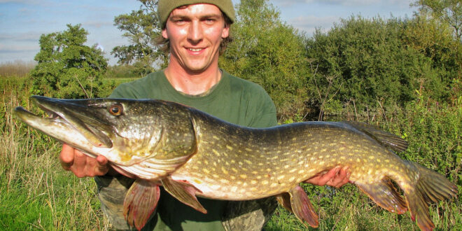 Fantastic mid-double river pike