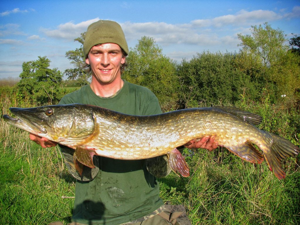 Locating pike in rivers, drains and canals - finding specimen pike fish