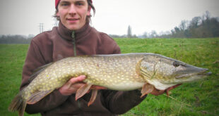 River pike fishing