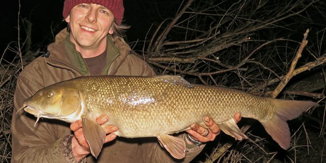 My last barbel of the 2019-2020 river fishing season - a barbel of 11lb 10oz from the Derbyshire Derwent