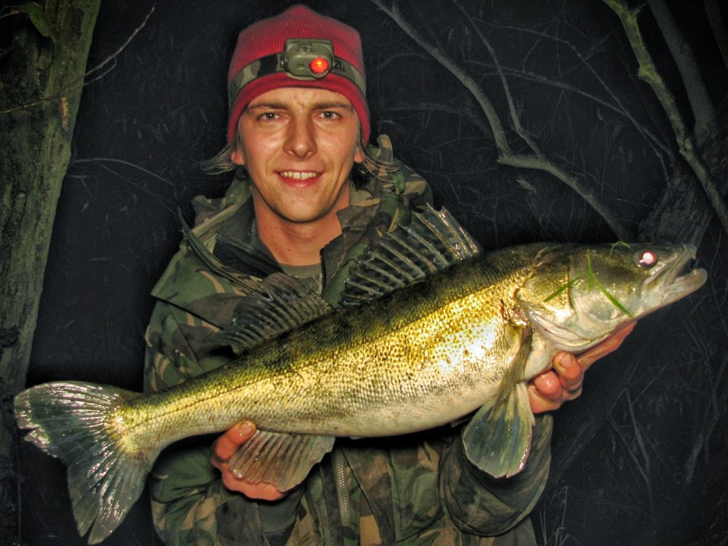 Zander night predator fishing