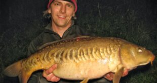 18lb mirror carp caught on light tackle in the spring from Higham Farm fishery, Alfreton