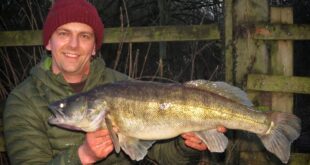 Double figure zander 13lb