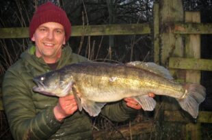 Double figure zander 13lb
