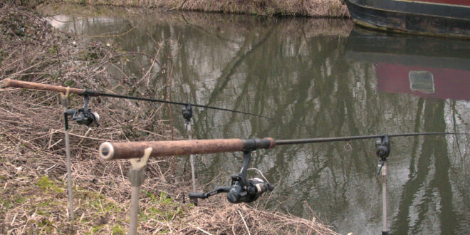 River Kennet perch fishing