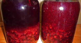 Sloe gin