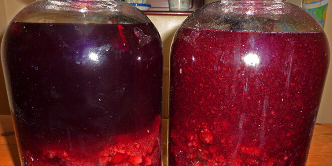 Sloe gin