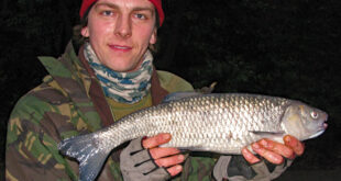 Chub caught trotting on centrepin & stick float