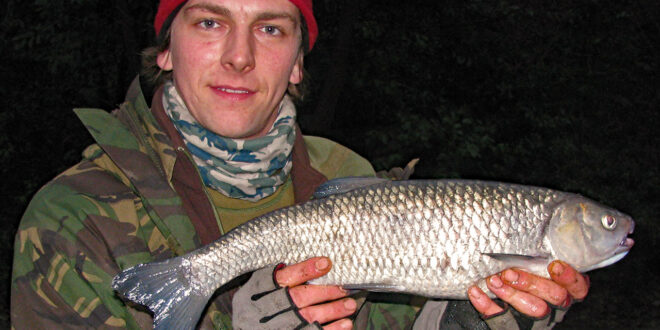 Chub caught trotting on centrepin & stick float