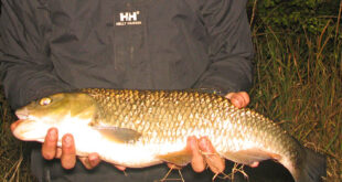 Fraser Holland first chub - 4lb+
