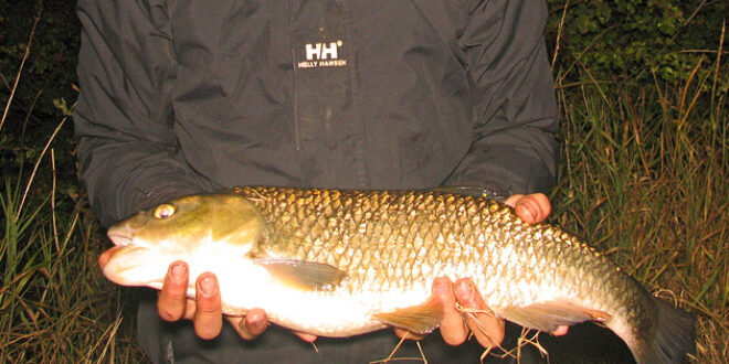 Fraser Holland first chub - 4lb+