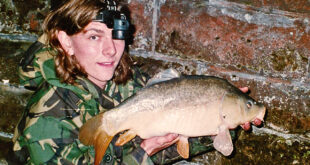 Canal fishing for carp