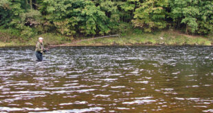 Fly fishing for salmon on the River Tyne