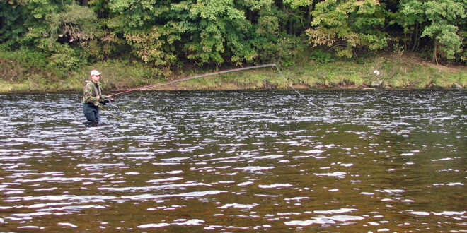 Fly fishing for salmon on the River Tyne
